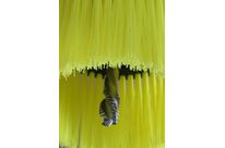 Brossed Circulaires: Mink TD-System [TD]