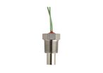 Sonde de température en acier inoxydable | WHITMAN CONTROLS