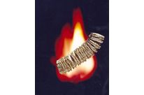 Minéral naturel Vermiculite – GRANUTEC®