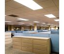 Pack de  6 - Panneau LED 120x30 29W Haut Rendement 137lm/W - Blanc Froid 6000K - 8000K