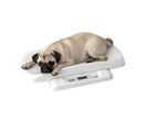 Balance pour peser les animaux | CACHAPUZ
