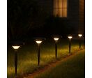 Lampe de Jardin Solaire à Piquet IP65 90lm (lot de 2) - Blanc Froid 6000K - 8000K
