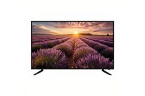 ECRAN 4K 60HZ 65 | SERVIACOM PROACCESS