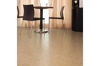 Sols PVC: Translations