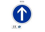 Panneau B21b Direction obligatoire tout droit 