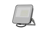 Projecteur LED Gris 50W 185lm/W - Blanc Froid 6000K - 8000K