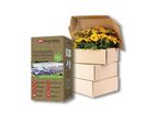 Solutions Packagings, personalisables, en carton recyclable et compostable