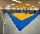 Tatamis pour Judo, MMA, Karaté et Aikido | MOSAIK CREATION