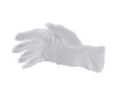 Gants de propreté en coton - Taille 7 (S)