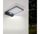 Applique murale Solaire LED Noire 2.5W avec Détecteur de Mouvement