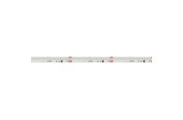 Ruban LED 5m COB 24V RGBW 21W IP20 DIGITAL SPI 10mm - Blanc Neutre 4000K - 5500K
