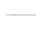 Ruban LED 5m COB 24V RGBW 21W IP20 DIGITAL SPI 10mm - Blanc Neutre 4000K - 5500K