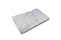 Bâche transparente renforcée 160gr, 4 x 6 m - 7422