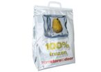 Sac isotherme métallisé avec impression 100 % Frozen - 34 l | Saciso