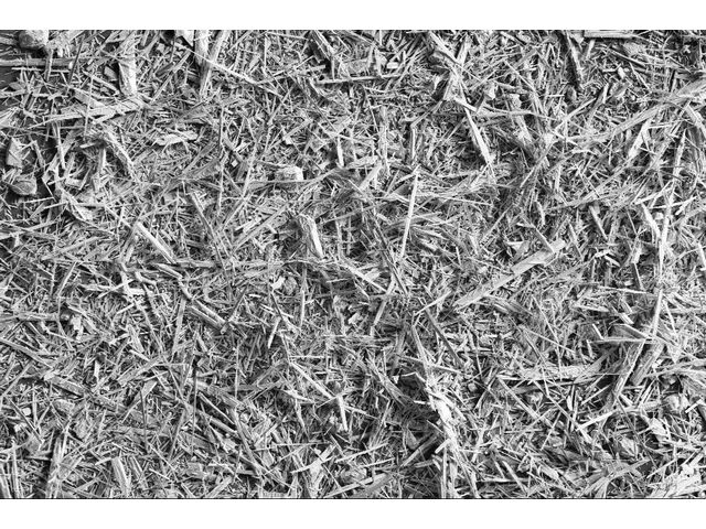 Silicate de calcium naturel | Wollastonite