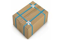 Scellé pour feuillard