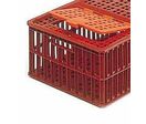 Cage à volailles en plastique | Allibert