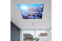 Panneau LED Imprimé Fleurs de Cerisier 60x60 40W CCT - Pack de 4 - 3000K/4000K/6500K