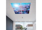Panneau LED Imprimé Fleurs de Cerisier 60x60 40W CCT - Pack de 4 - 3000K/4000K/6500K