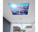 Panneau LED Imprimé Fleurs de Cerisier 60x60 40W CCT - Pack de 4 - 3000K/4000K/6500K
