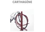 Range Vélos 2 places avec Arceau Antivol
