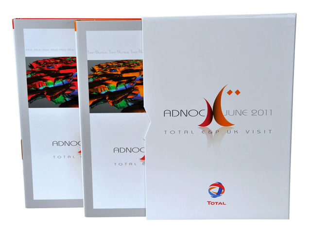 Etui cache poussière