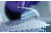 Films de scellage : KBIOSYSTEMS