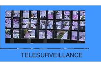 TELESURVEILLANCES