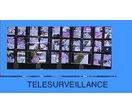 TELESURVEILLANCES
