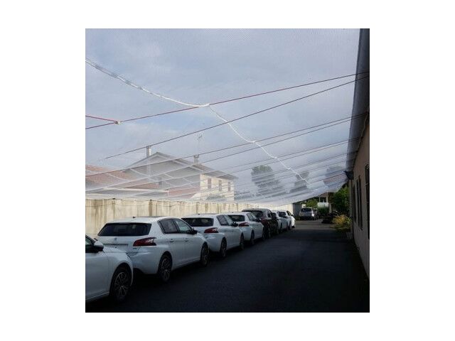 Filet anti-grêle standard 10x10m