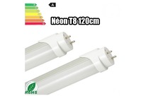 Tube Néon LED T8 120cm