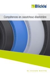 Catalogue Compétences en caoutchouc-élastomère