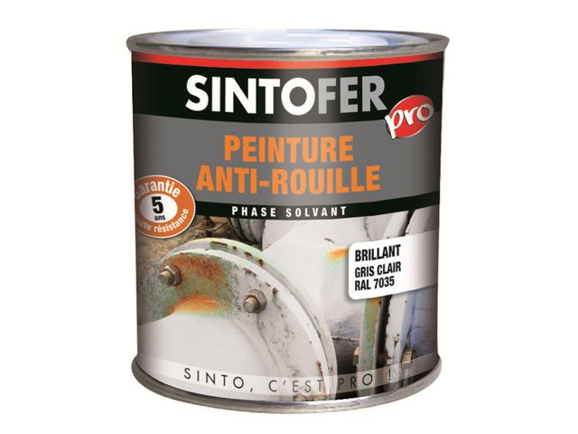 Peinture Antirouille Professionnelle: Brillant