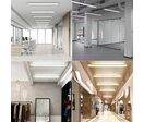 Pack de 10 - Reglette LED 60cm 24W - Blanc Froid 6000K - 8000K