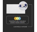Panneau LED CCT 60x30cm BLANC 30W - Pack de 2