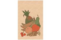 Sacs à fruits 3 kg en kraft brun décoré 33g/m² 200x90x360mm (x500) Firplast