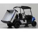 Voiturette de golf Yamaha YUM2A21 I Occasion