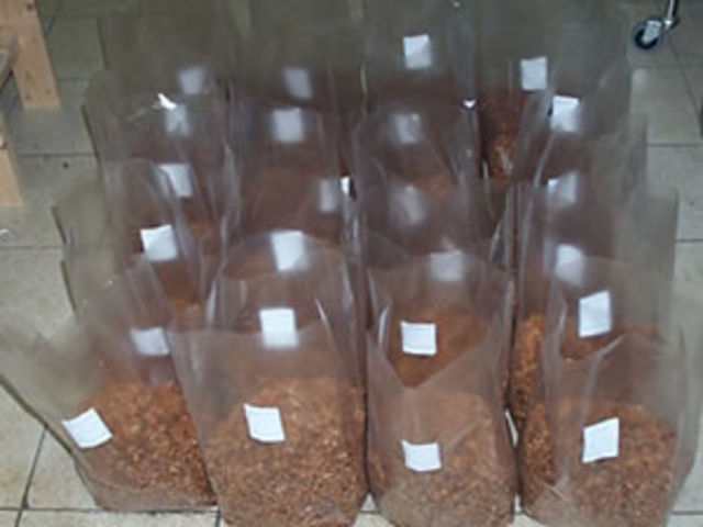 Sacs et sachets
