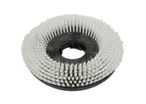 Accessoires autolaveuse - SPPV01352 - Brosse nylon pour CT80