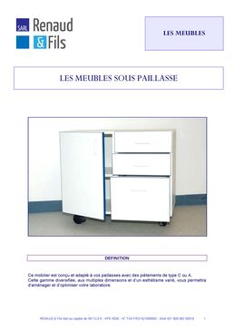 Mobilier de laboratoire sur mesure – Meubles sous paillasse, armoires et éléments muraux | RENAUD & Fils
