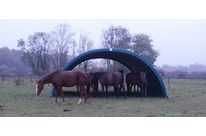 Solution pour abri équestre : Tunnel équestre Toutabri®