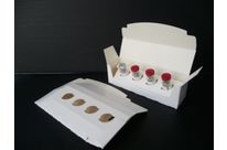 Support au management