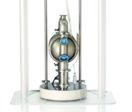 Pompe pneumatique à double membranes Saniforce GRACO