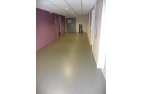 Mise en peinture des murs