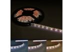 Bandeau LED 12V 5M 5050 60LED/m - Blanc Froid 6000K - 8000K / IP44