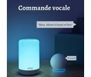 Lampe connectée Wifi RGBW 2A Dimmable Tactile