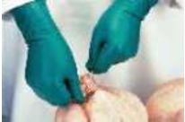 Gant nitrile proFood™ 79-340