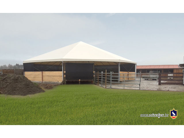 Rond de longe équestre