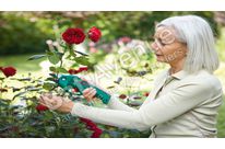 BOSCH JARDIN -  Sécateur sans fil Ciso - 0600855005