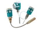 Transmetteurs de niveau capacitif | LTH ELECTRONICS